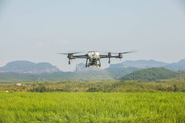 無人機技術在農業中的應用